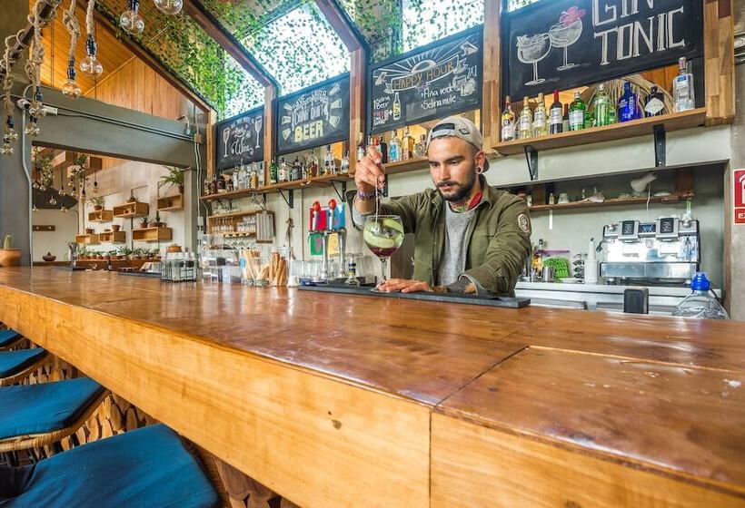 Fotos del hotel Selina Monteverde:  28