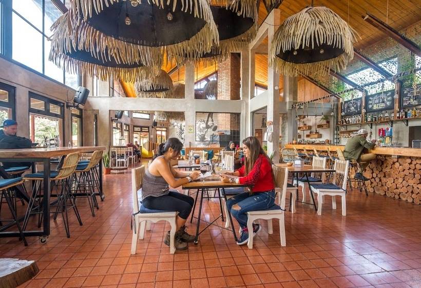 Fotos del hotel Selina Monteverde:  31