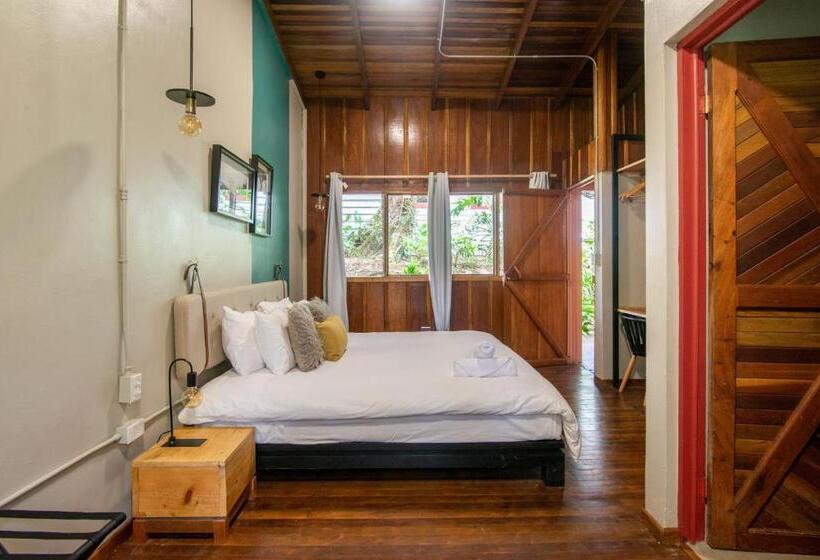 Fotos del hotel Selina Monteverde:  53