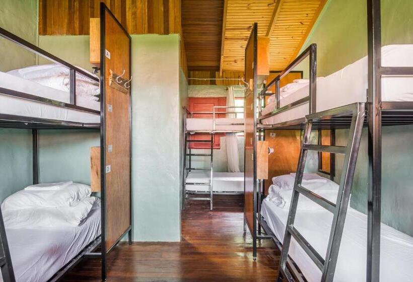 Fotos del hotel Selina Monteverde:  48