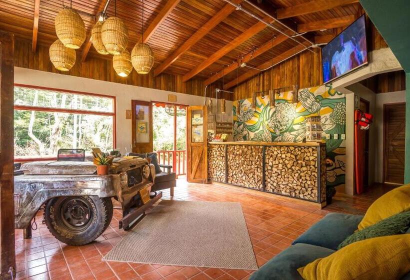 Fotos del hotel Selina Monteverde:  7