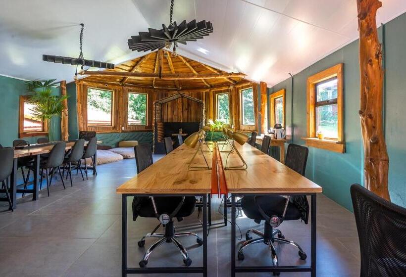 Fotos del hotel Selina Monteverde:  9