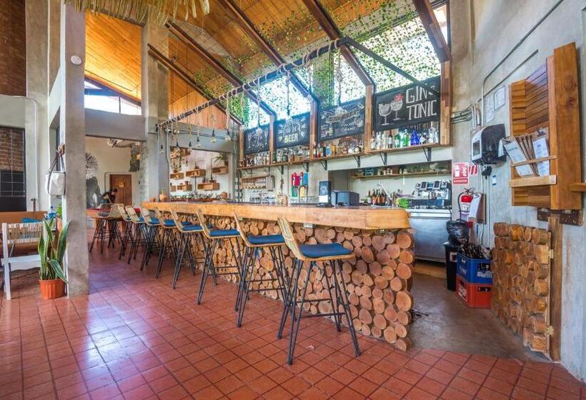 Fotos del hotel Selina Monteverde:  4