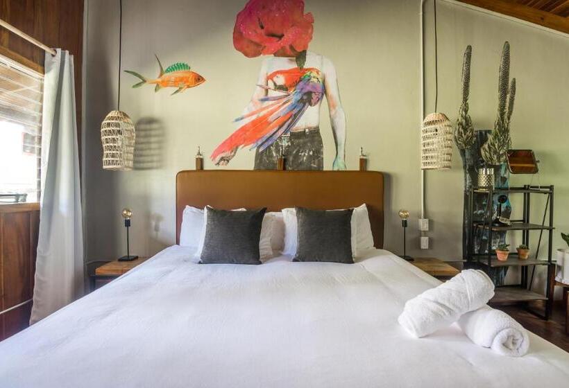 Fotos del hotel Selina Monteverde:  38