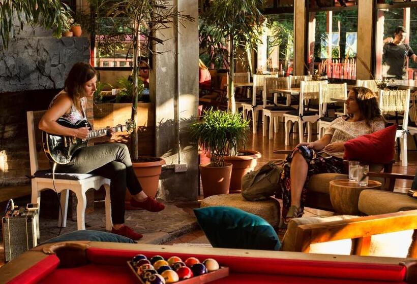 Fotos del hotel Selina Monteverde:  5