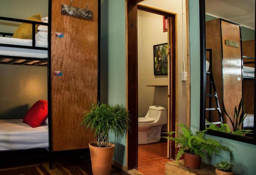 Fotos del hotel Selina Monteverde:  55