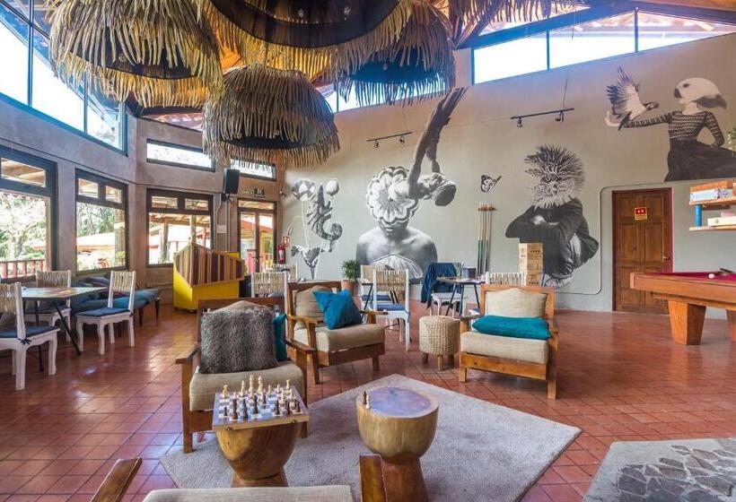 Fotos del hotel Selina Monteverde:  13