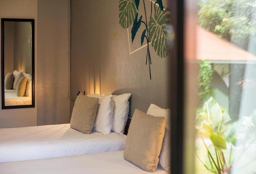 Fotos del hotel Selina Monteverde:  58