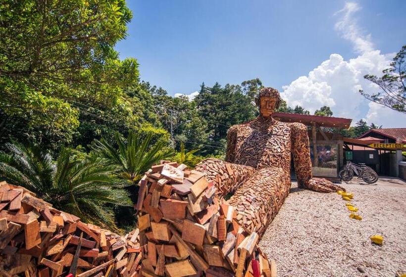 Fotos del hotel Selina Monteverde:  18