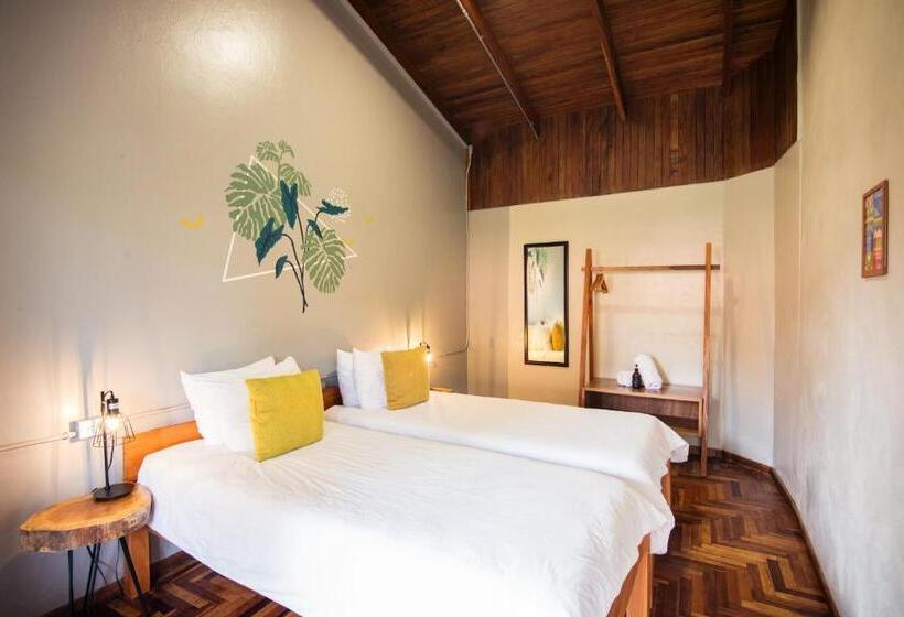 Fotos del hotel Selina Monteverde:  56