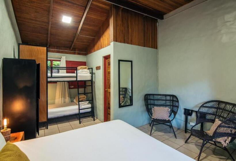 Fotos del hotel Selina Monteverde:  40