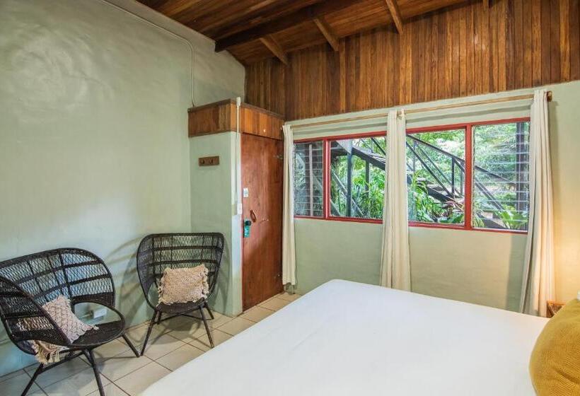 Fotos del hotel Selina Monteverde:  45