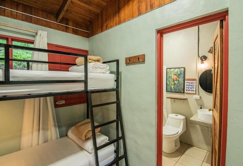 Fotos del hotel Selina Monteverde:  43