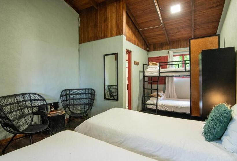 Fotos del hotel Selina Monteverde:  60