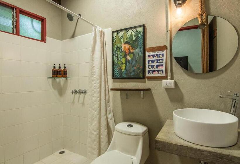 Fotos del hotel Selina Monteverde:  16