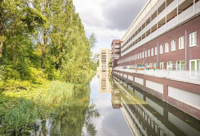 Fotos del hotel New Kit:  4