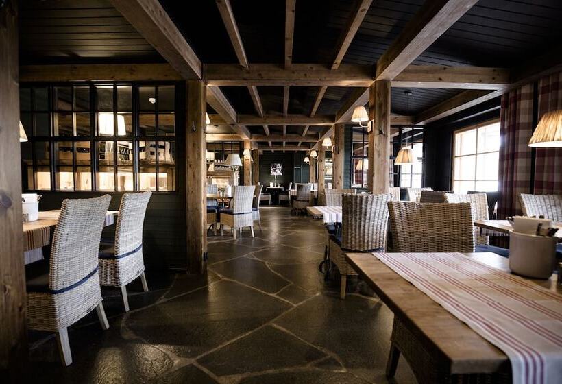 Fotos del hotel Design Hotel Levi:  18