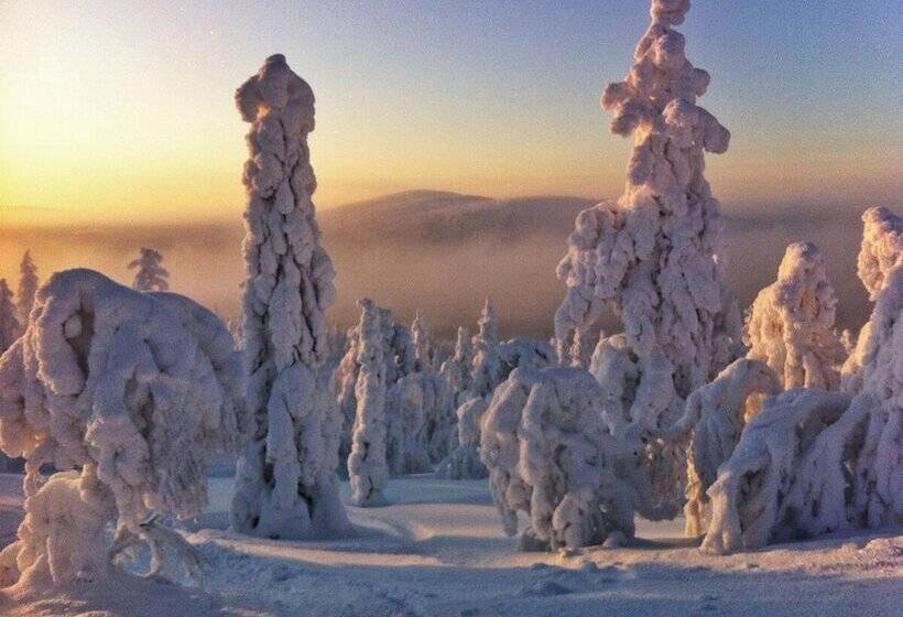 Fotos del hotel Design Hotel Levi:  23