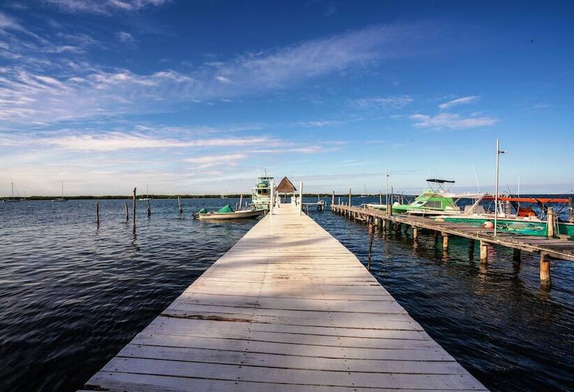 Fotos del hotel Boutique Skulls Landing:  24