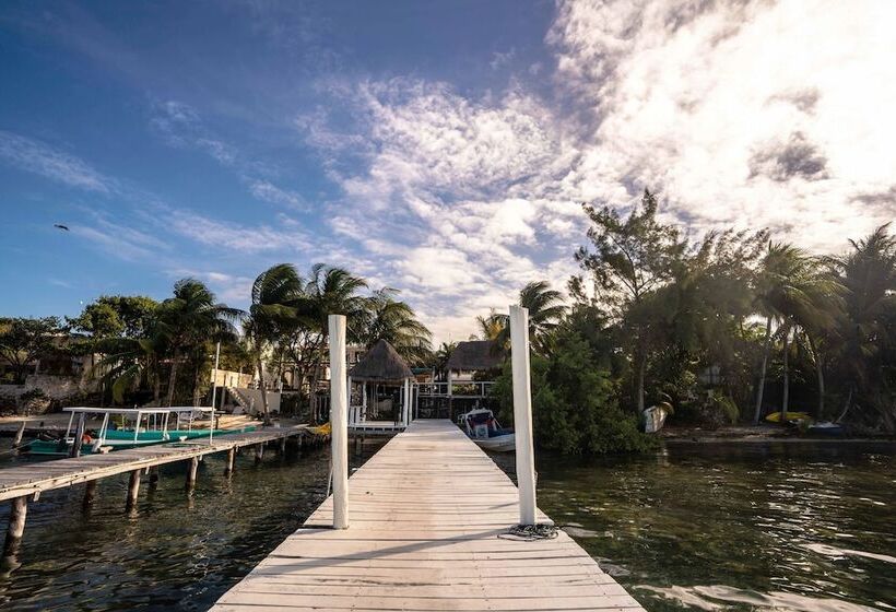 Fotos del hotel Boutique Skulls Landing:  25