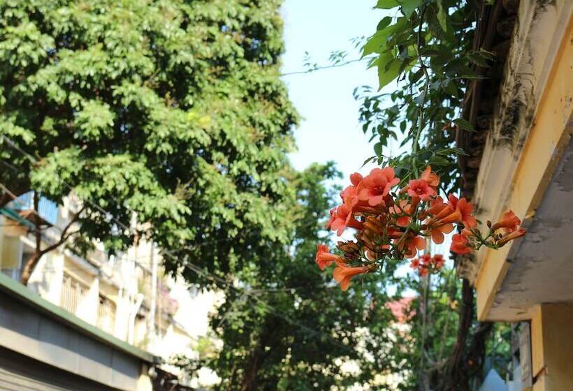 Fotos del hotel Palmo Hotel & Apartment 1:  15