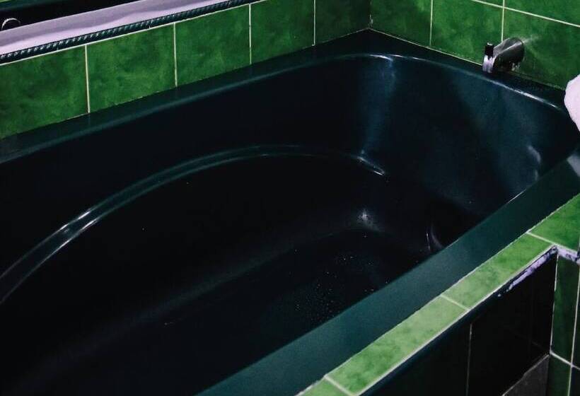 Fotos del hotel Boutique Mendoza:  12