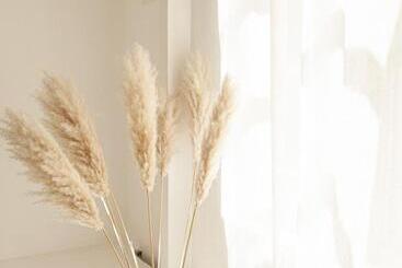 971 Hotel Con Encanto