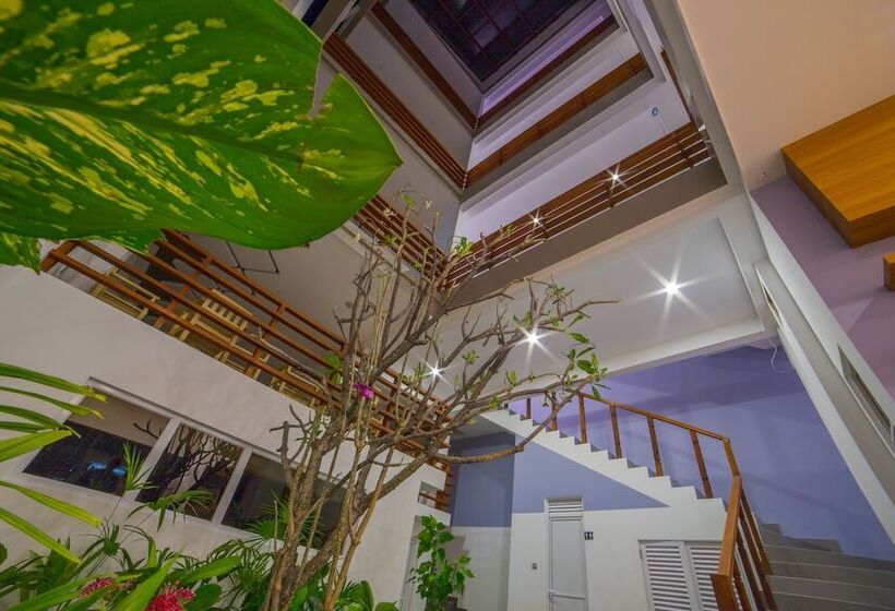 Fotos del hotel Kuredhi Beach Inn:  19