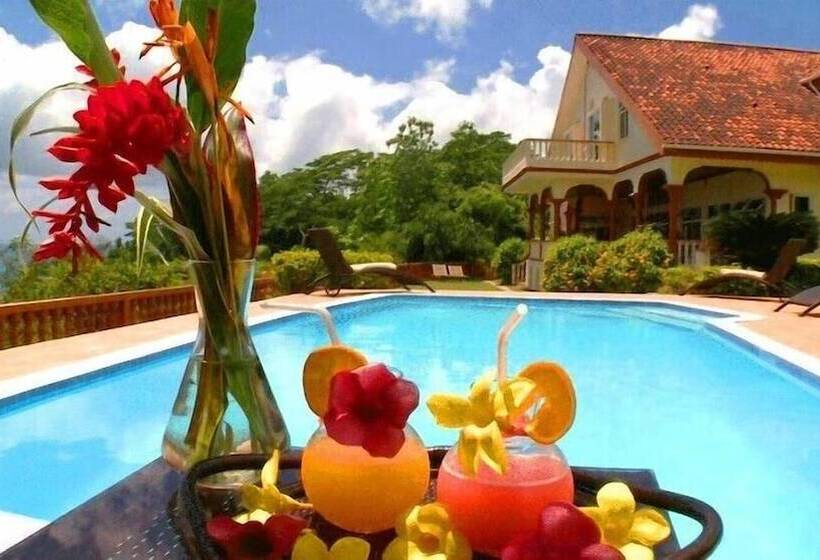 Fotos del hotel Bay View Villa:  7