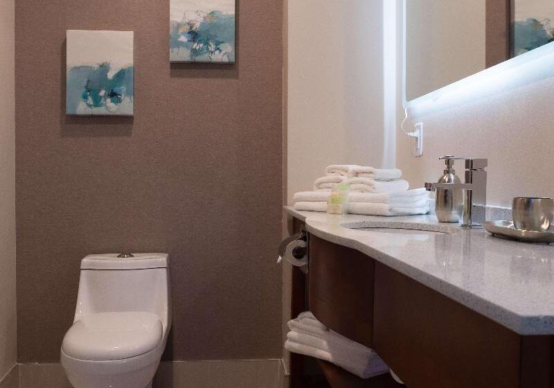 Fotos del hotel Montreal Metropolitain:  5