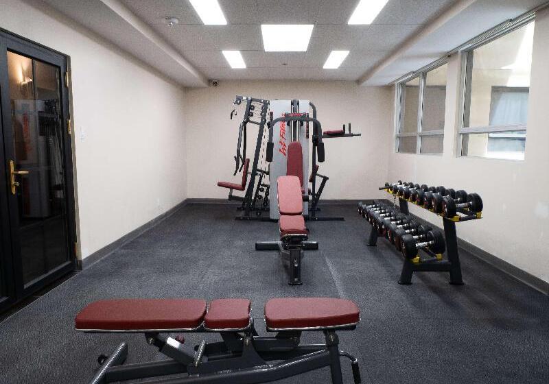 Fotos del hotel Montreal Metropolitain:  7