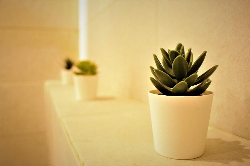 Fotos del hotel Merryland:  13