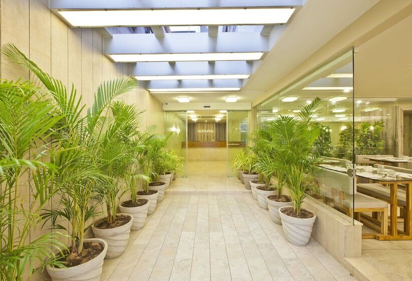 Fotos del hotel Scenaria:  2