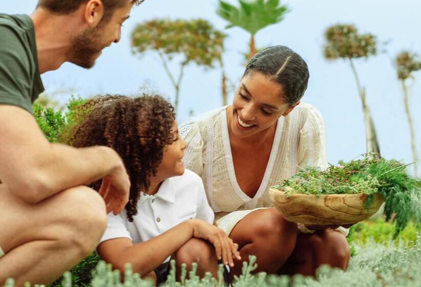 Fotos del hotel Ikos Andalusia:  7