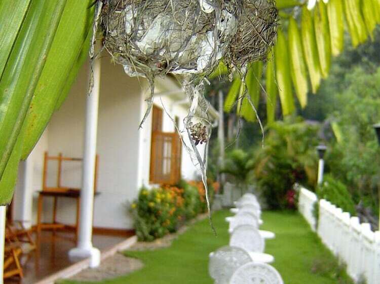 Fotos del hotel Water Garden:  4