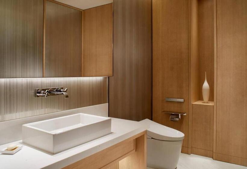 Fotos del hotel The Ritz-carlton, Xi'an:  16