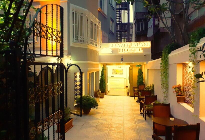 Fotos del hotel Beyazit Palace:  18