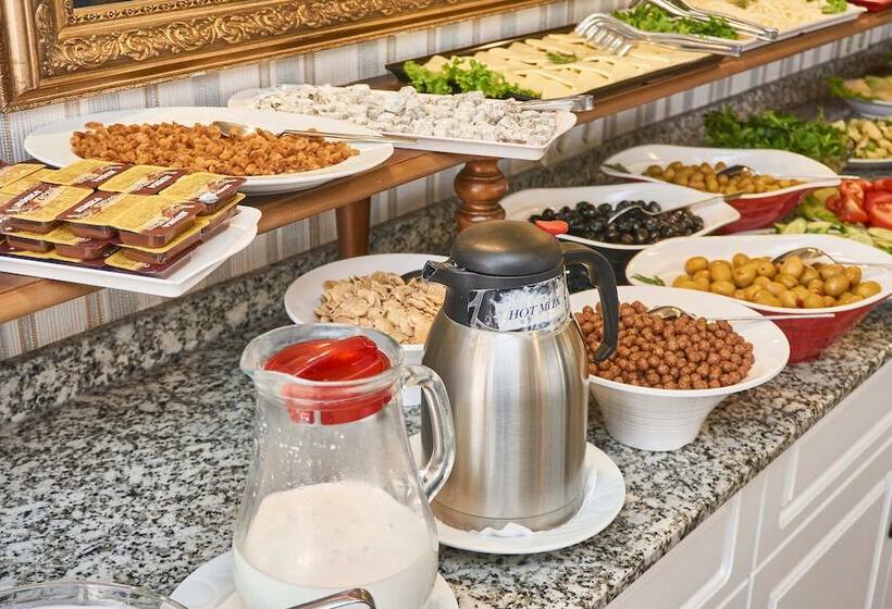 Fotos del hotel Beyazit Palace:  17