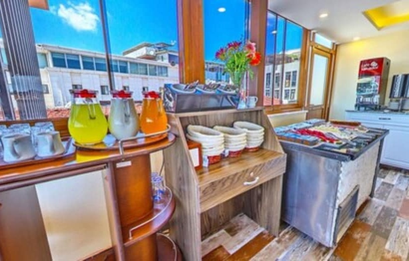 Fotos del hotel Beyazit Palace:  5