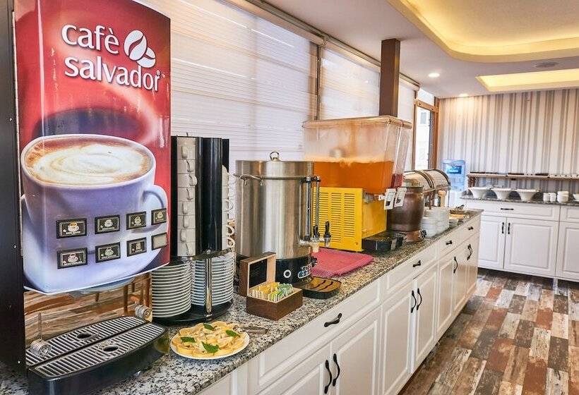 Fotos del hotel Beyazit Palace:  9