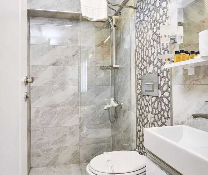 Fotos del hotel Beyazit Palace:  3