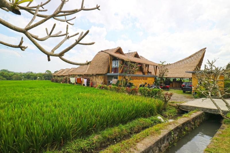 Fotos del hotel Moon Bamboo:  21