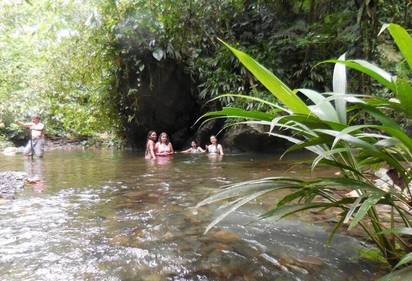 Fotos del hotel Nuquimar:  25