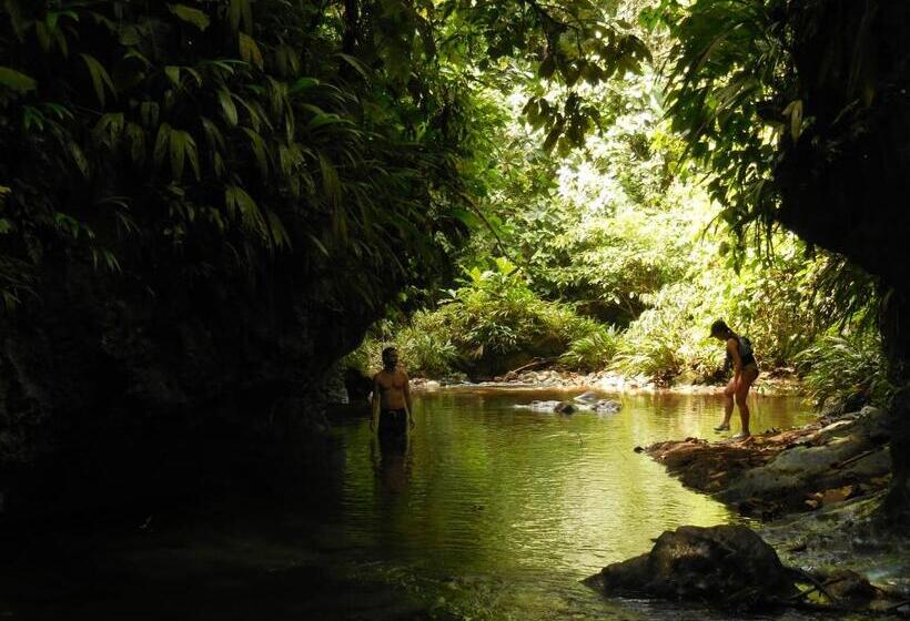 Fotos del hotel Nuquimar:  23