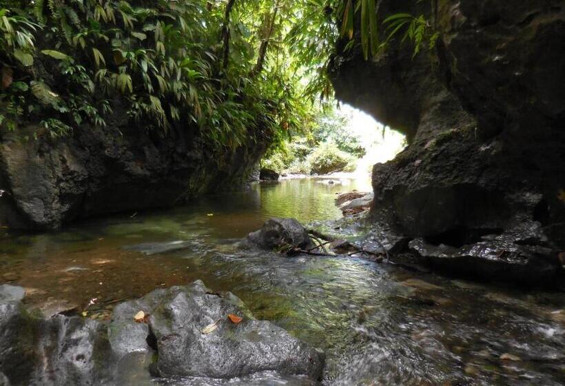 Fotos del hotel Nuquimar:  21