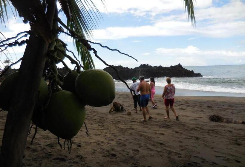 Fotos del hotel Nuquimar:  19