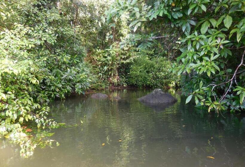 Fotos del hotel Nuquimar:  16