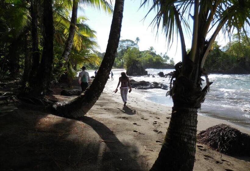 Fotos del hotel Nuquimar:  2