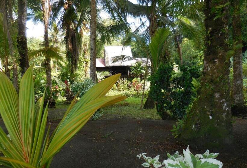 Fotos del hotel Nuquimar:  14