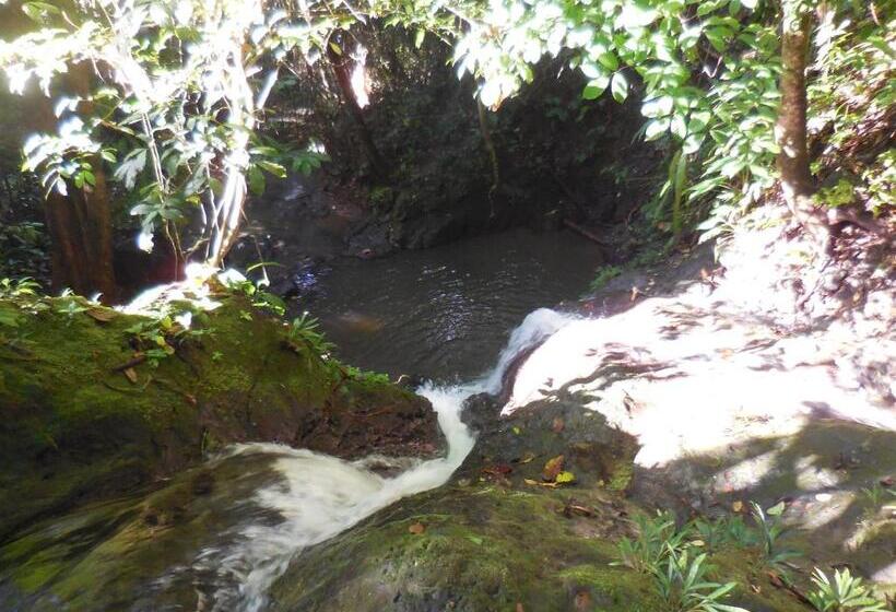 Fotos del hotel Nuquimar:  13